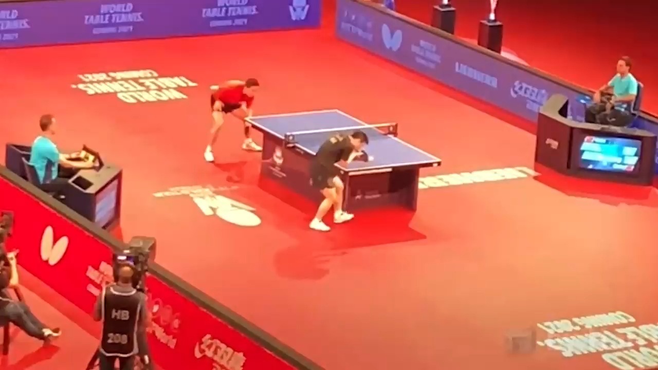 关于日本队险胜德国队，许昕惊艳四座的信息