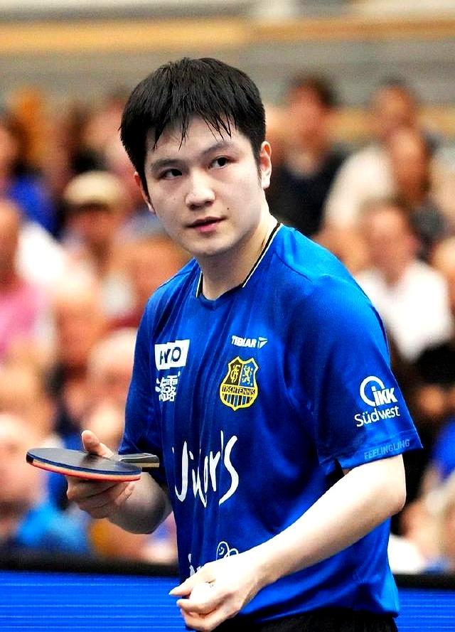 关于英国乒乓球队绝杀比利时乒乓球队，樊振东制霸全场的信息