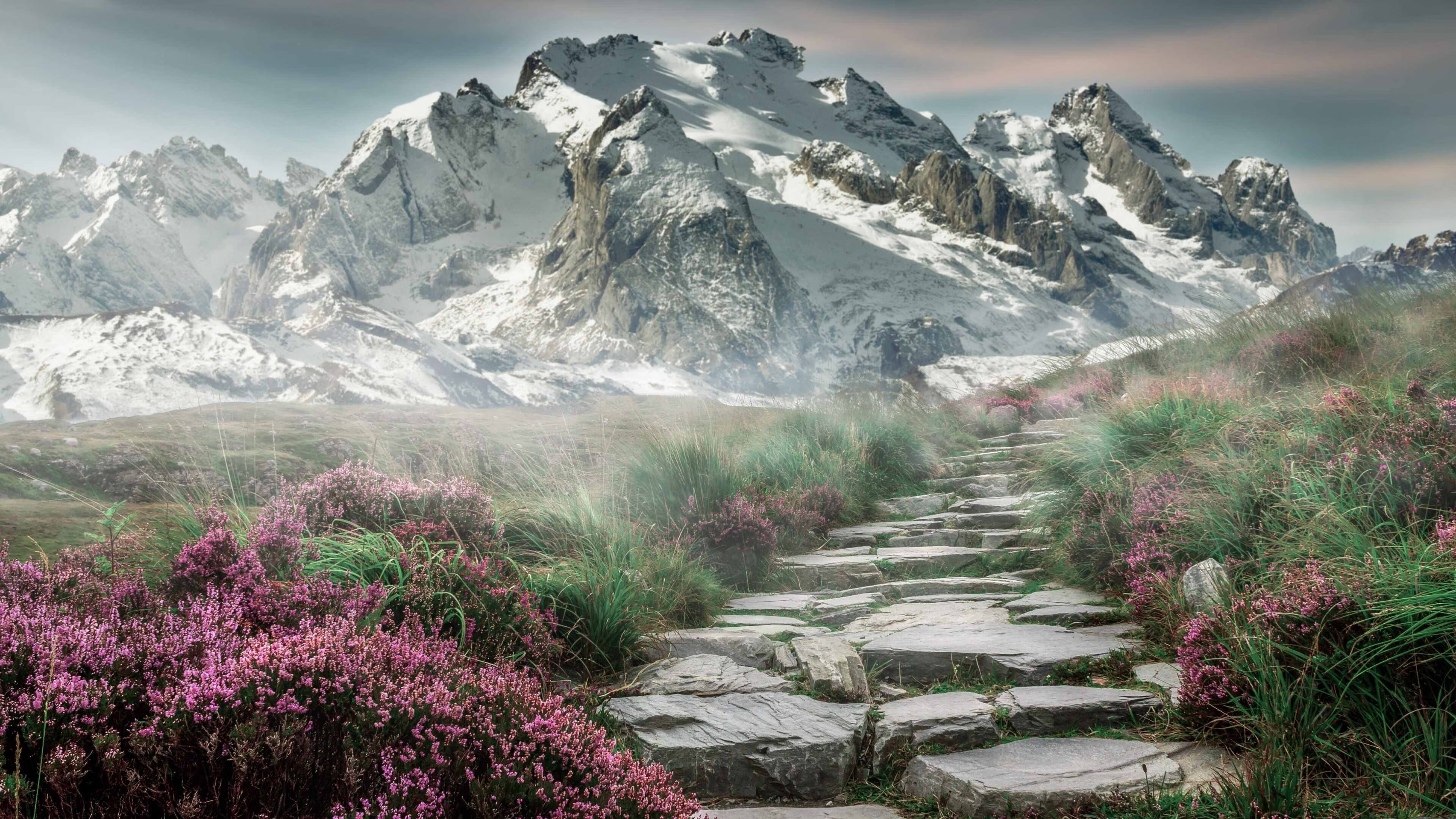 东方铁骑鏖战绿衫军,字母哥用实力打破质疑—辽宁队与凯尔特人的跨洋对决启示录